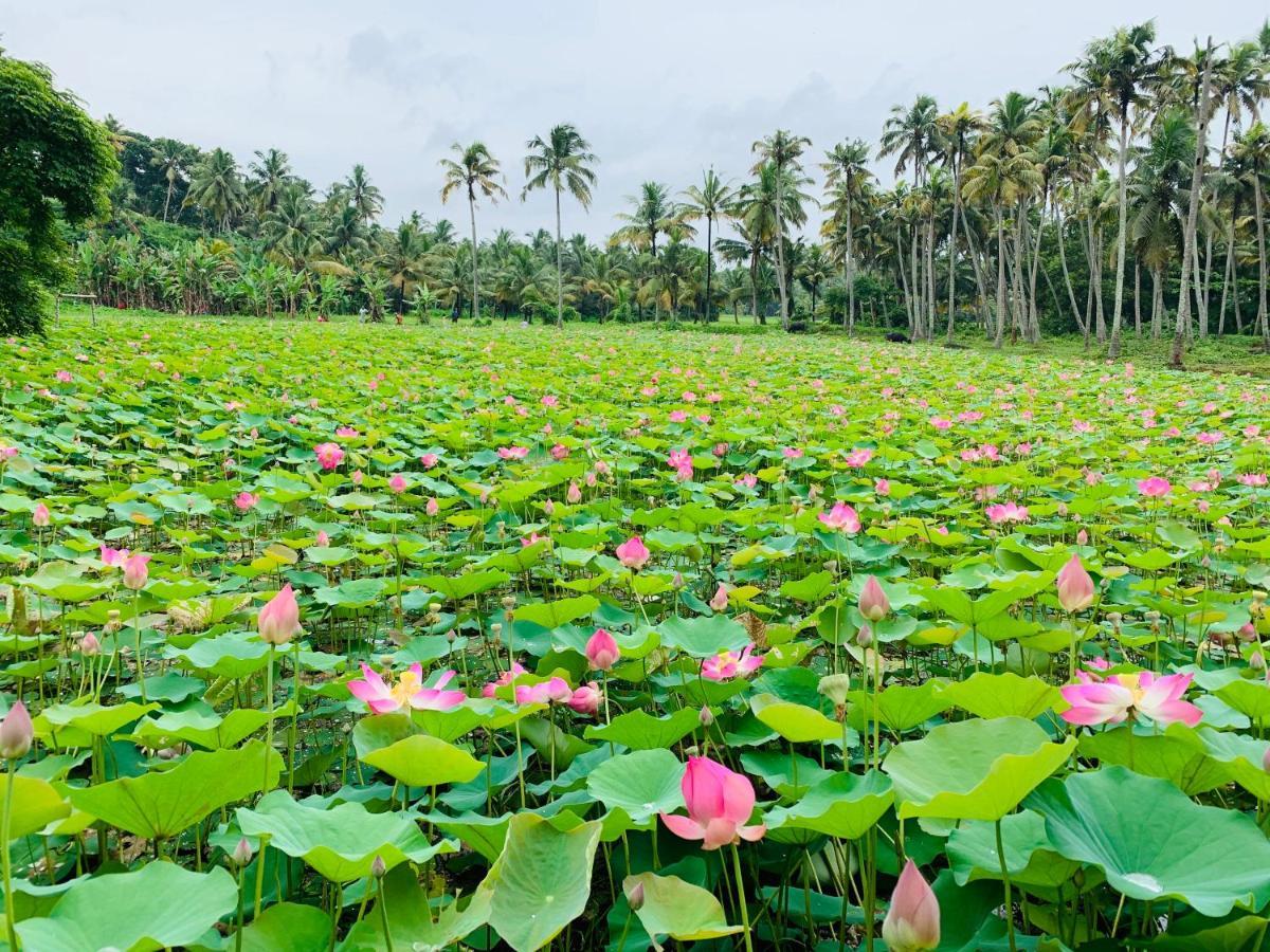 Maadathil Cottages Varkala Exterior foto